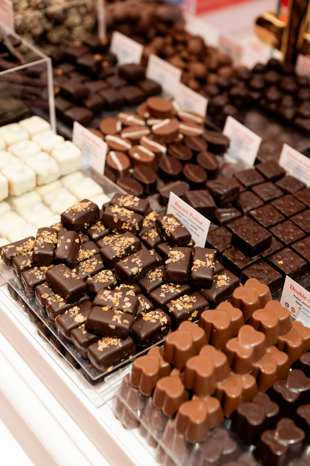 Vitrine de pralines Passion Chocolat — biscuité praliné, double caramel, ganaches