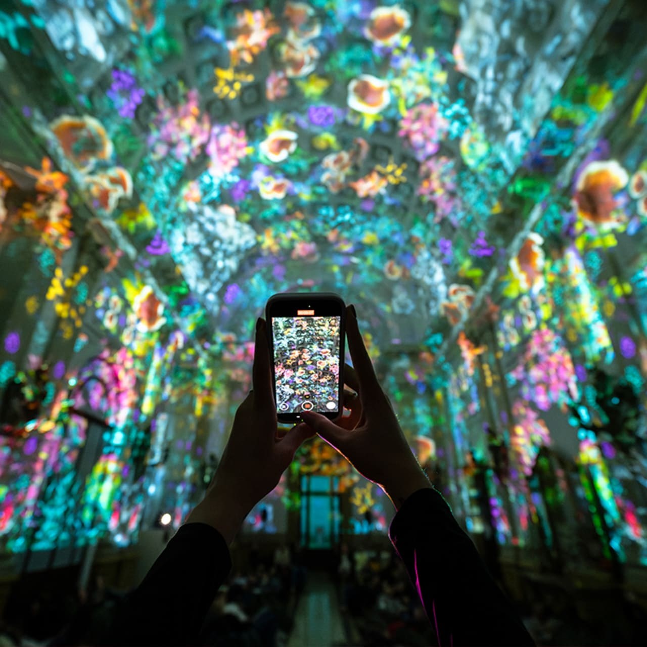 A visitor photographs the floral colours projected during Genesis