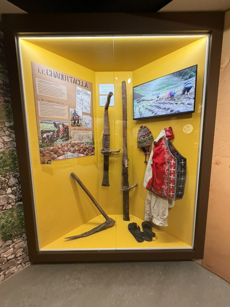 Bright display about the potato’s Peruvian origins at Friet Museum Brussels